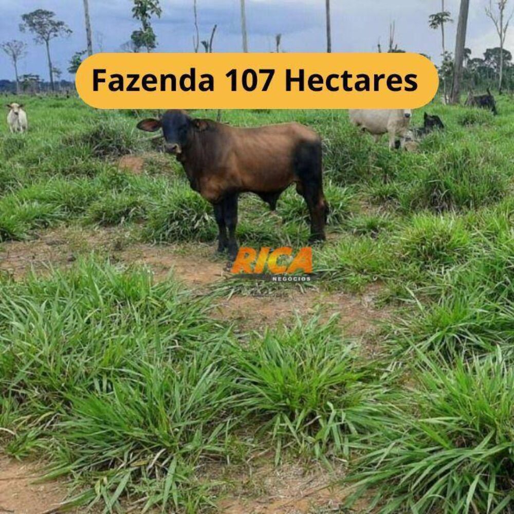 Fazenda, 107 hectares - Foto 1