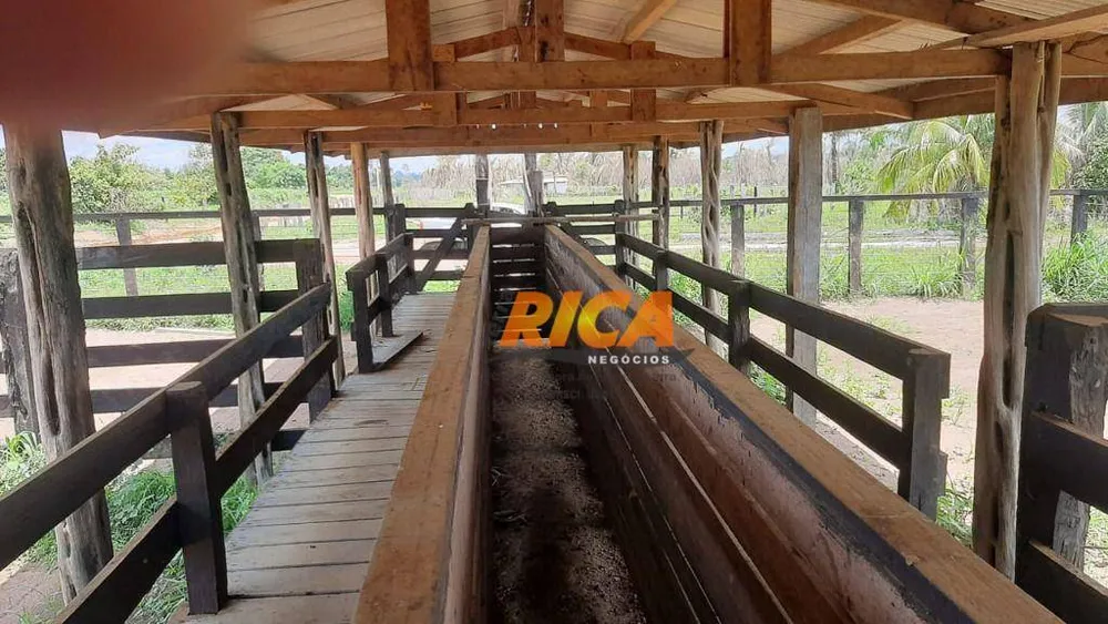 Fazenda, 107 hectares - Foto 13