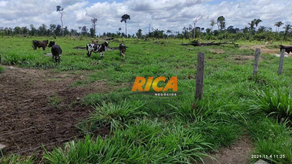 Fazenda, 107 hectares - Foto 7