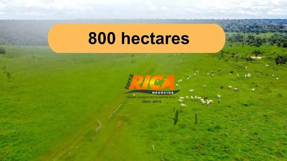 Fazenda, 800 hectares - Foto 2