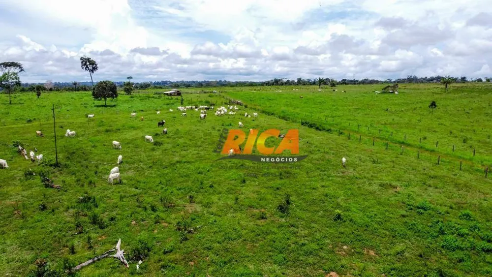 Fazenda, 800 hectares - Foto 11