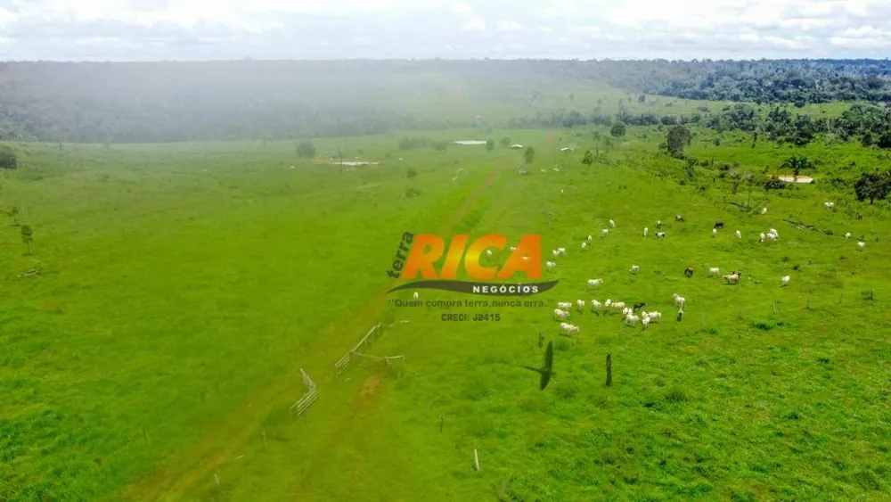 Fazenda, 800 hectares - Foto 12