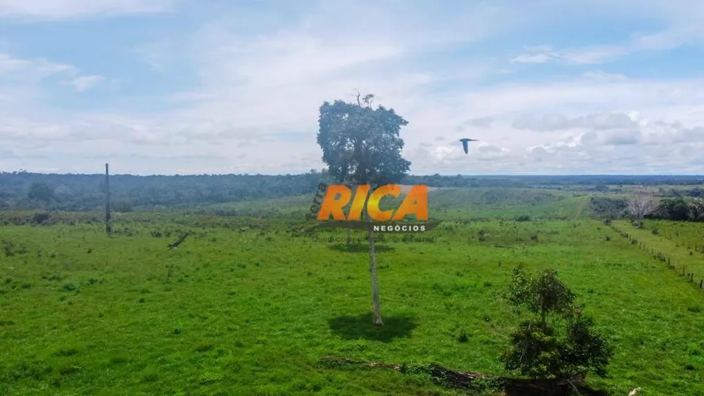 Fazenda, 800 hectares - Foto 6