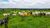 Fazenda, 800 hectares - Foto 2