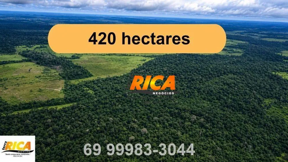 Fazenda, 420 hectares - Foto 1