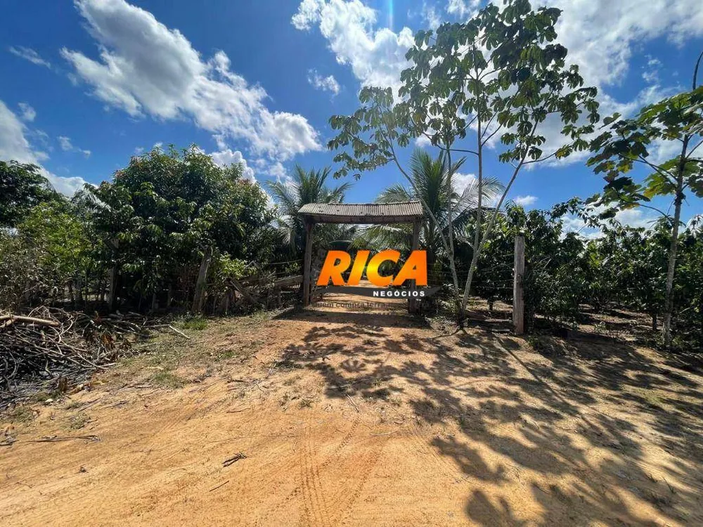 Chácara, 3 quartos, 10000 m² - Foto 12
