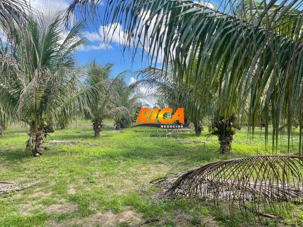 Chácara, 3 quartos, 10000 m² - Foto 3