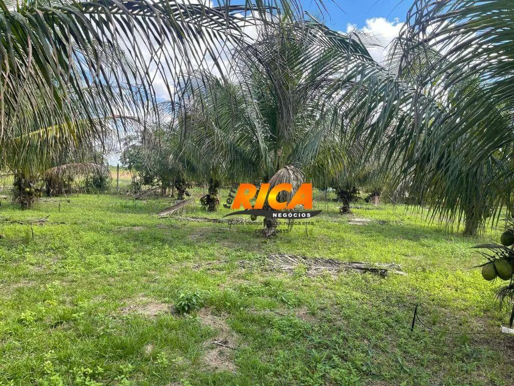 Chácara, 3 quartos, 10000 m² - Foto 6