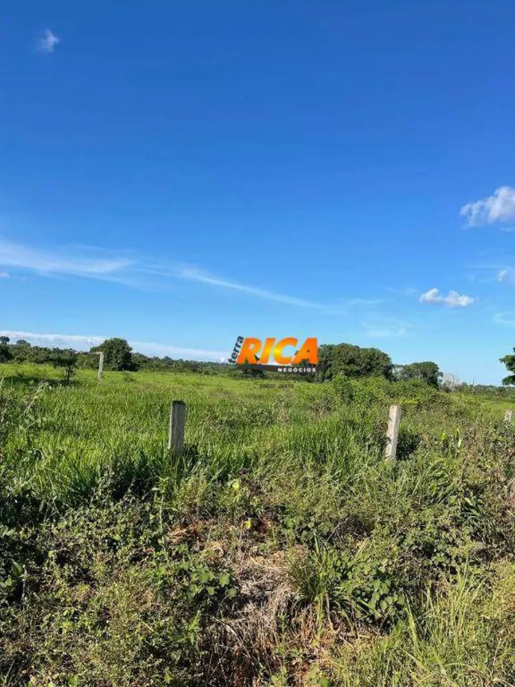 Fazenda, 100 hectares - Foto 8