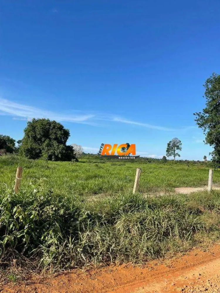 Fazenda, 100 hectares - Foto 4