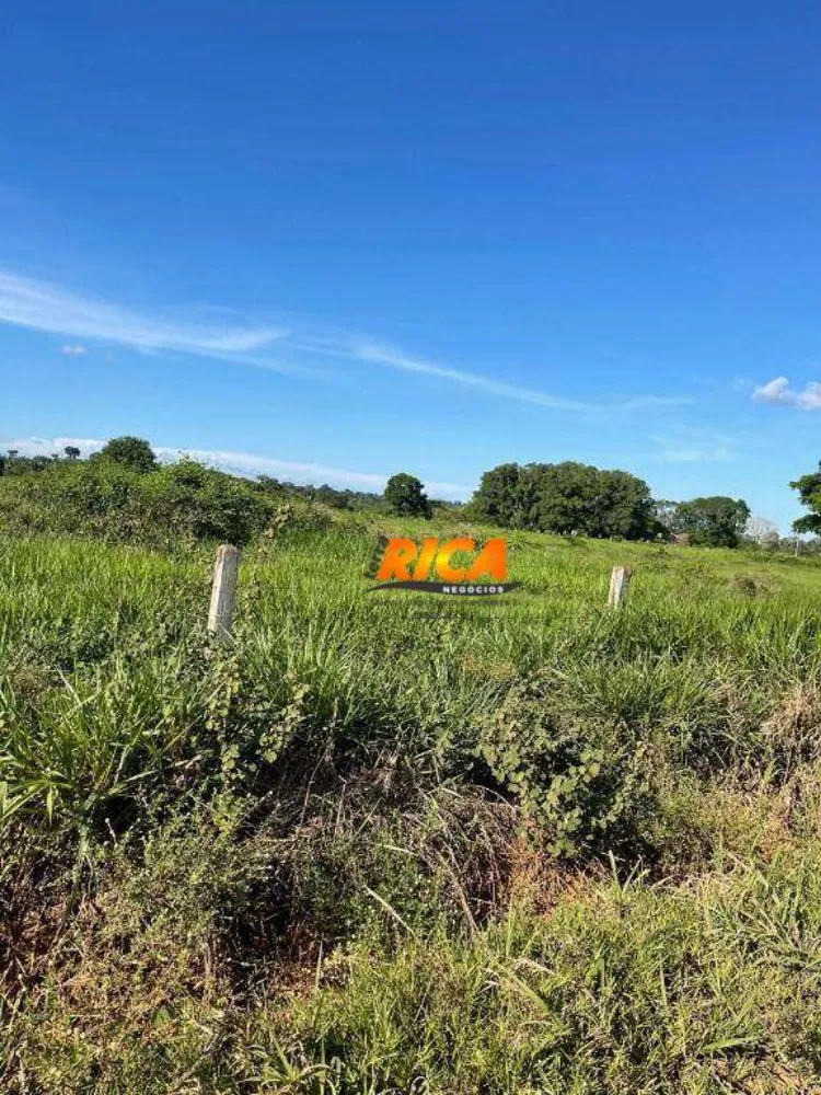 Fazenda, 100 hectares - Foto 7