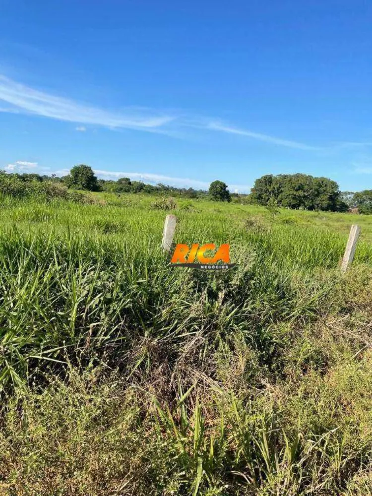Fazenda, 100 hectares - Foto 6