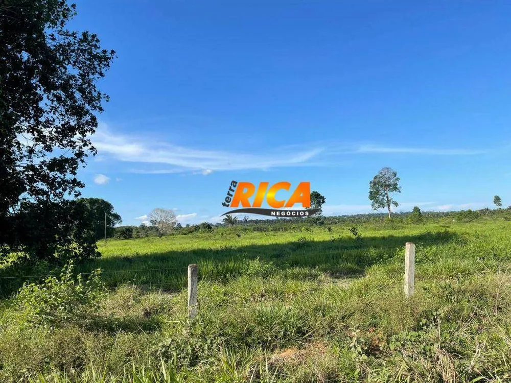 Fazenda, 100 hectares - Foto 1