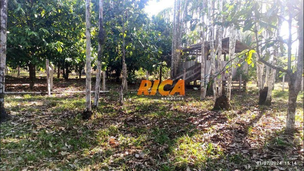 Fazenda, 104 hectares - Foto 6