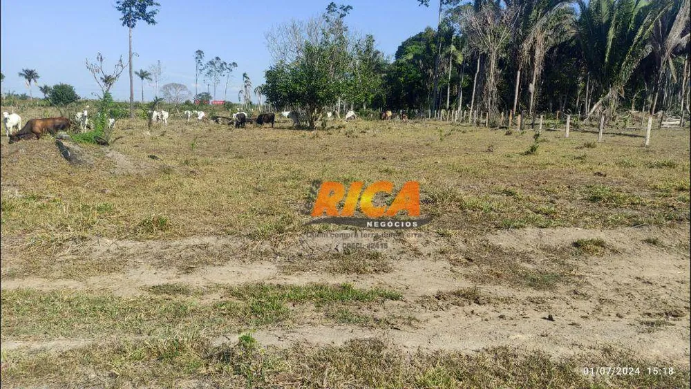 Fazenda, 104 hectares - Foto 3