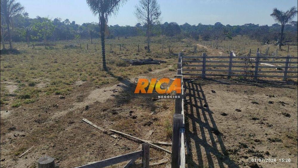 Fazenda, 104 hectares - Foto 3