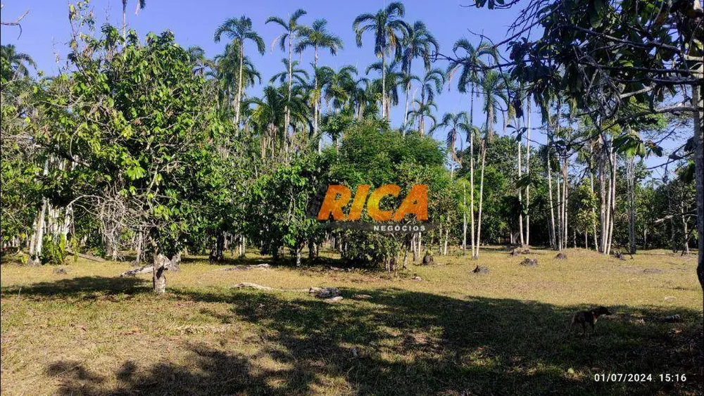 Fazenda, 104 hectares - Foto 7