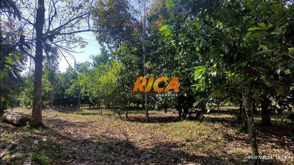 Fazenda, 104 hectares - Foto 8