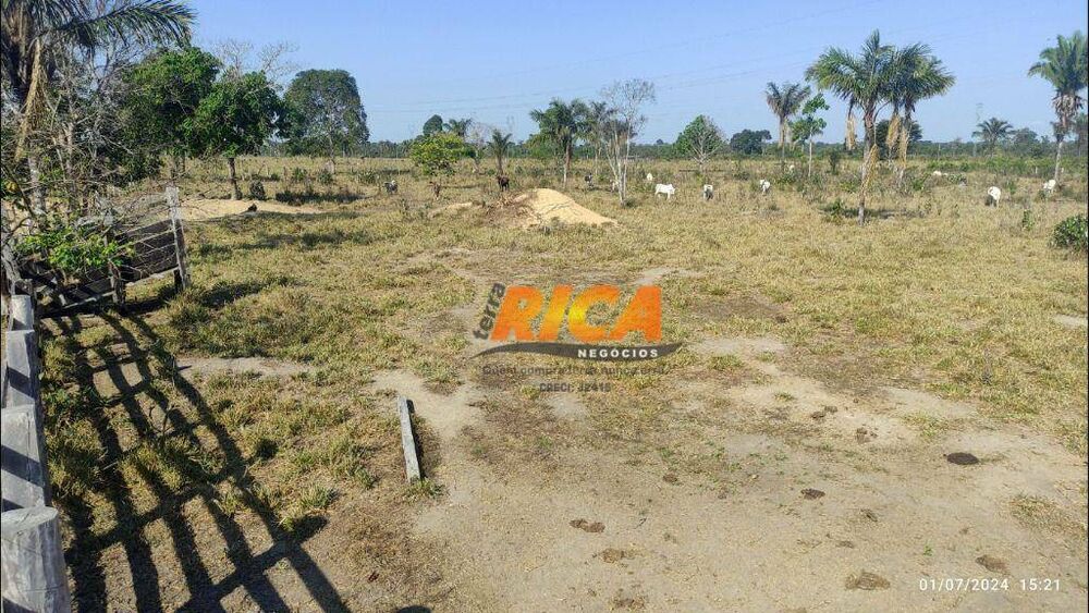 Fazenda, 104 hectares - Foto 2