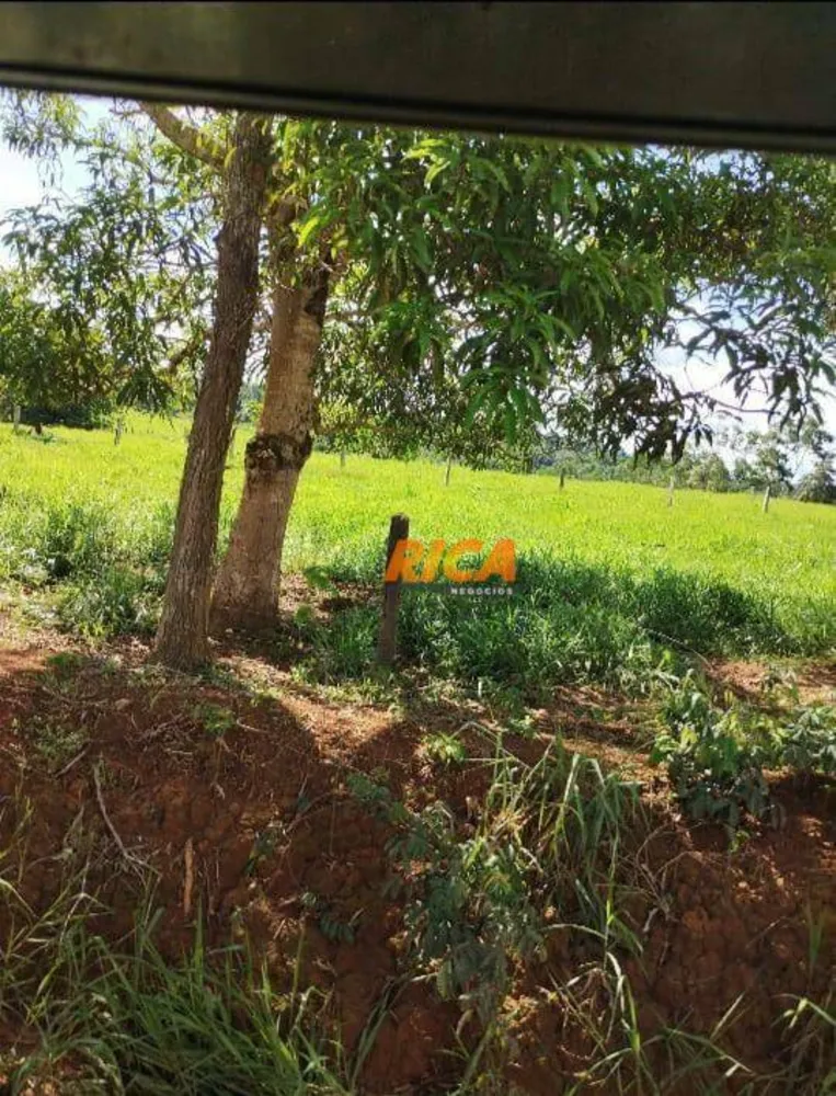 Sítio, 28 hectares - Foto 10
