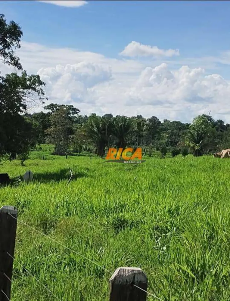 Sítio, 28 hectares - Foto 11