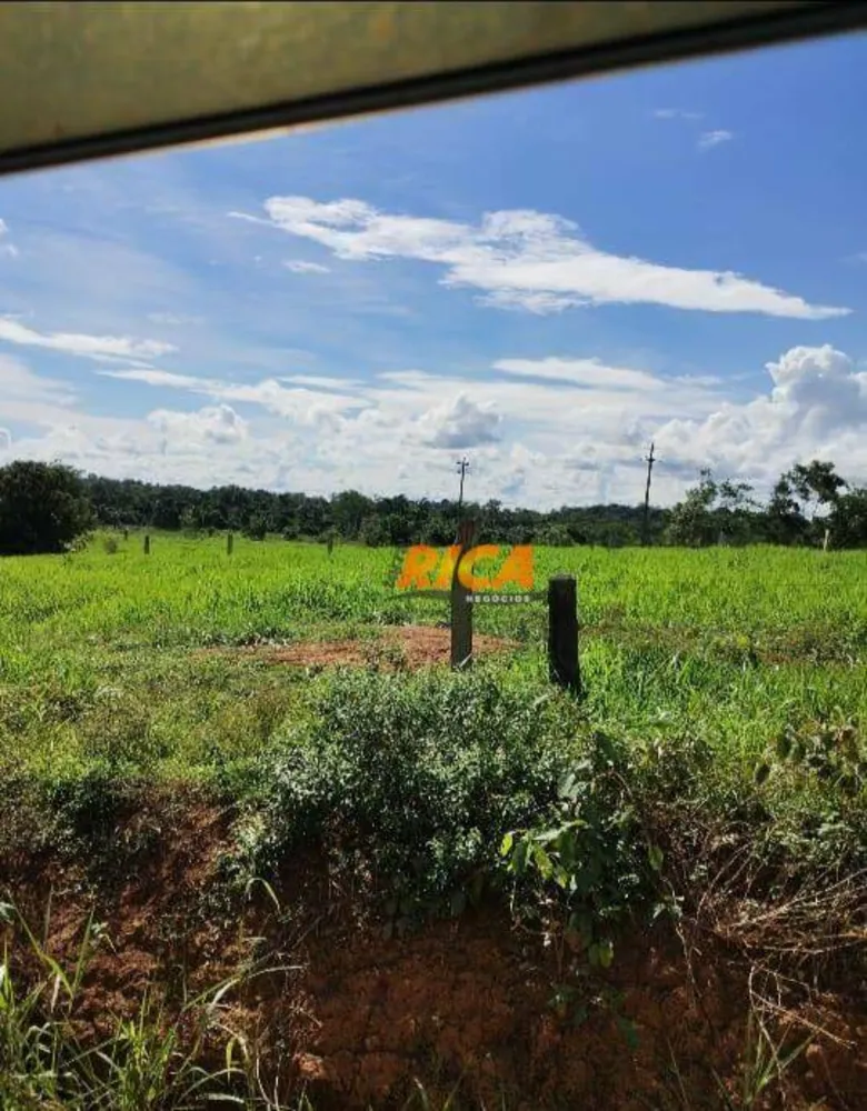 Sítio, 28 hectares - Foto 6