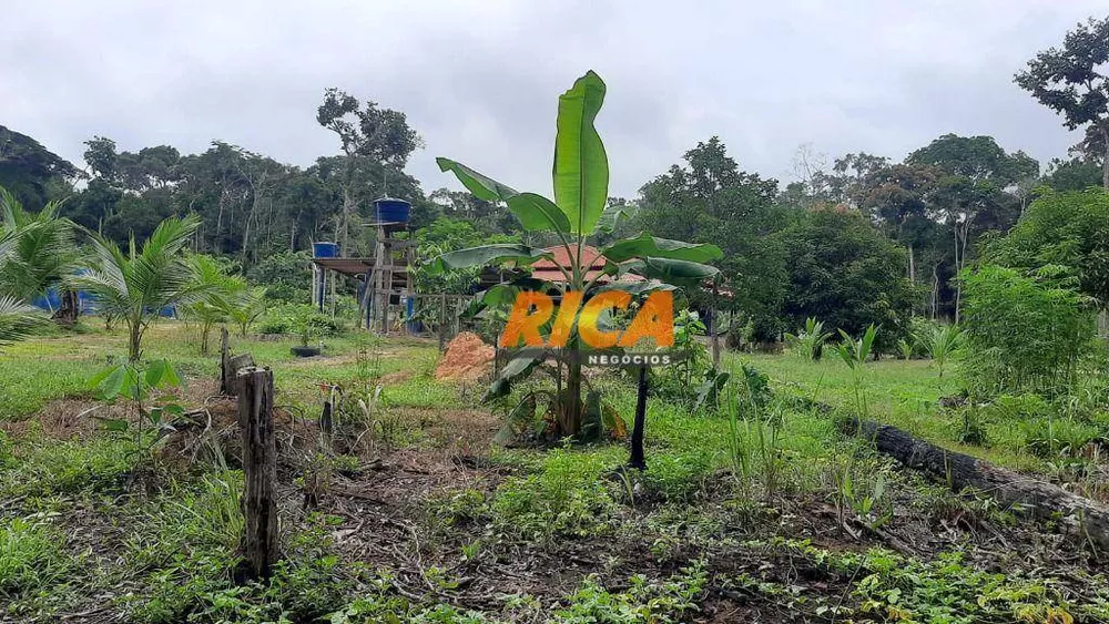 Chácara, 2 quartos, 5 hectares - Foto 3