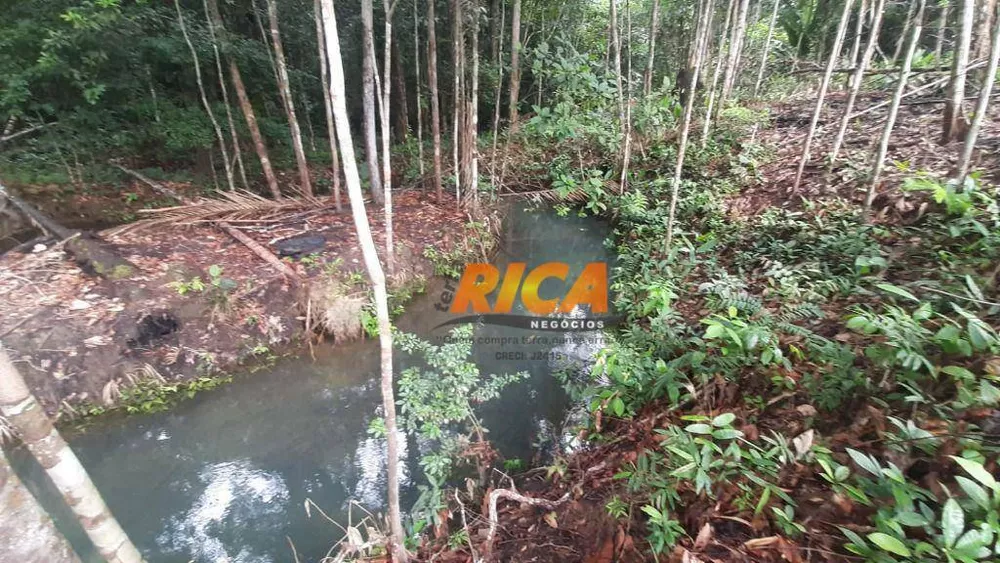 Chácara, 2 quartos, 5 hectares - Foto 11