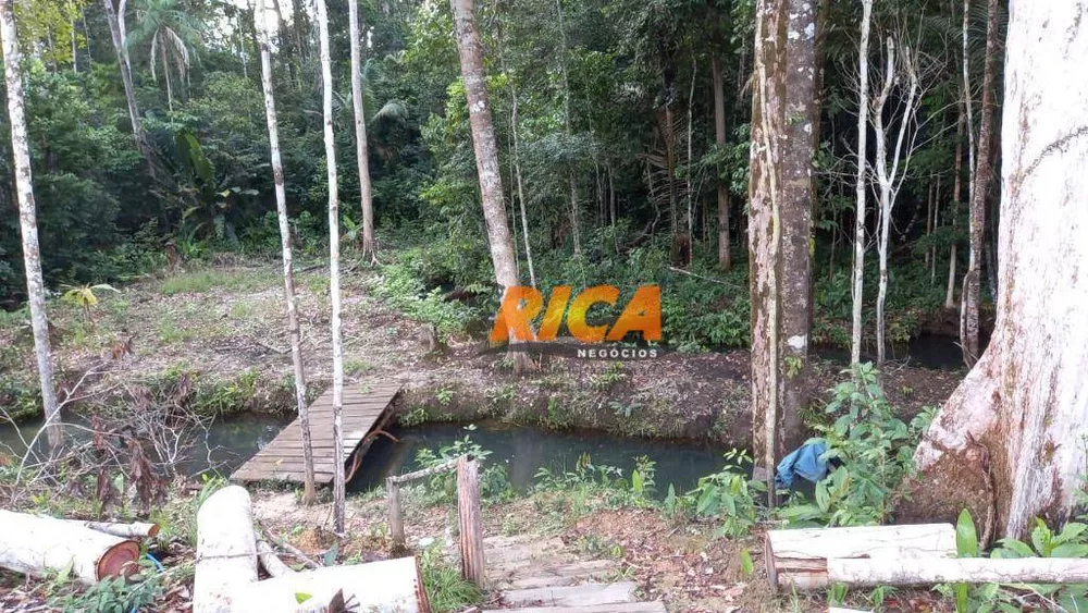 Chácara, 2 quartos, 5 hectares - Foto 15