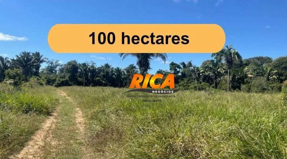 Fazenda, 100 hectares - Foto 3