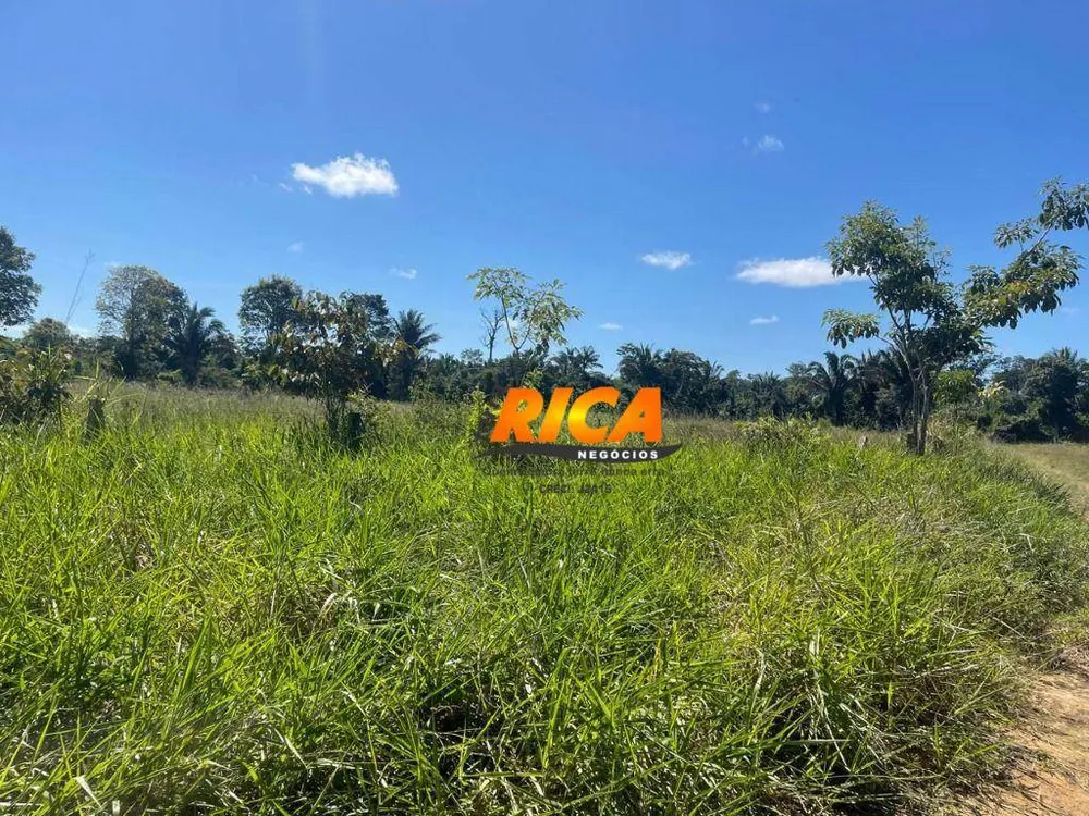 Fazenda, 100 hectares - Foto 8