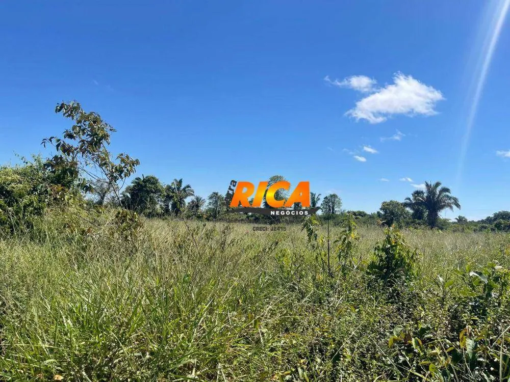 Fazenda, 100 hectares - Foto 4
