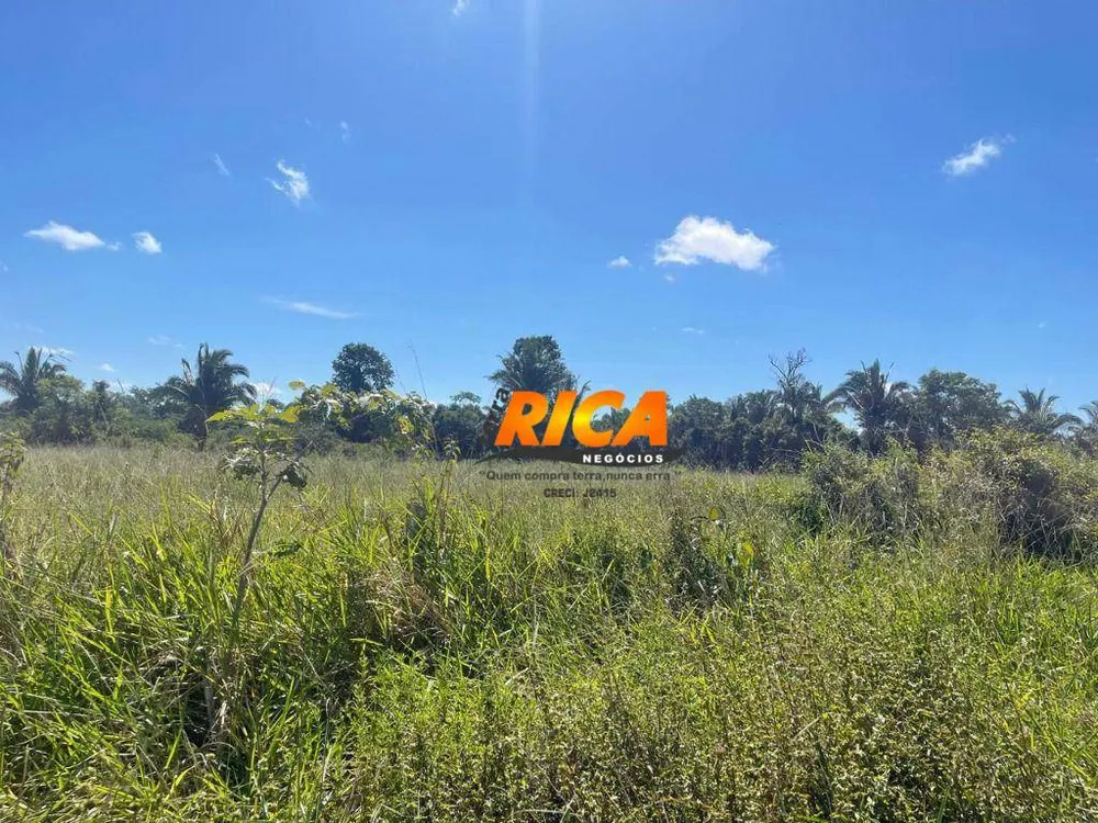 Fazenda, 100 hectares - Foto 1