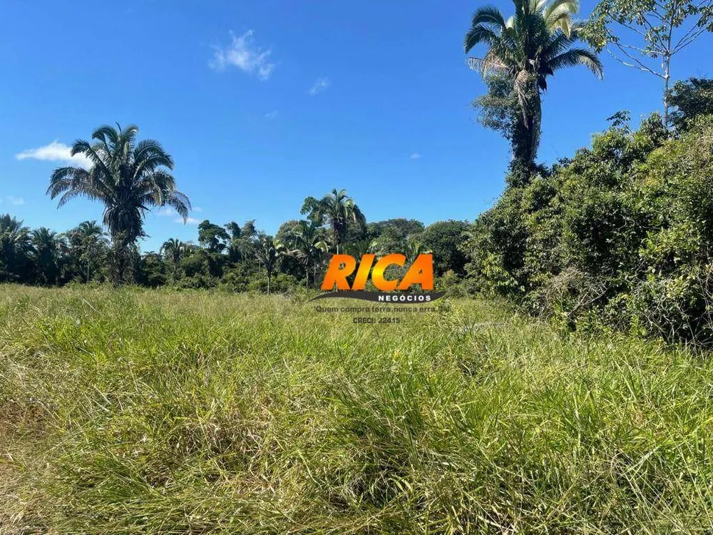 Fazenda, 100 hectares - Foto 6