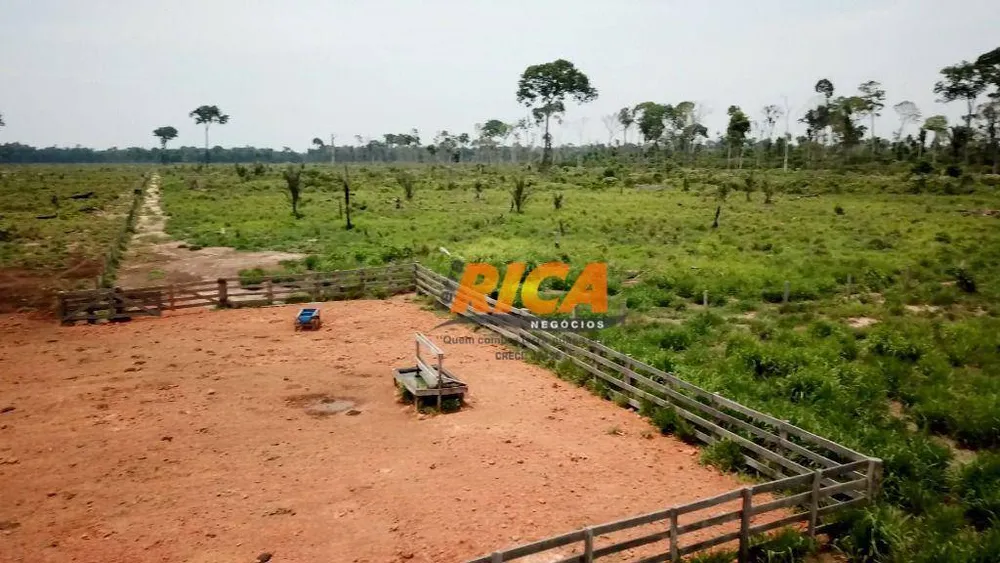 Fazenda, 228 hectares - Foto 12