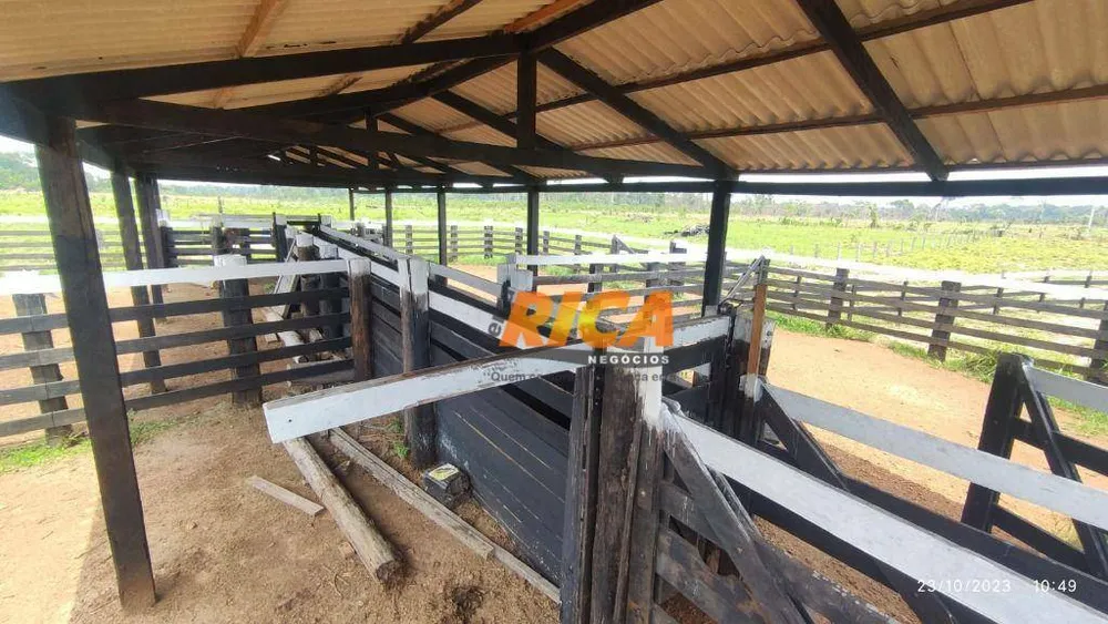 Fazenda, 228 hectares - Foto 9