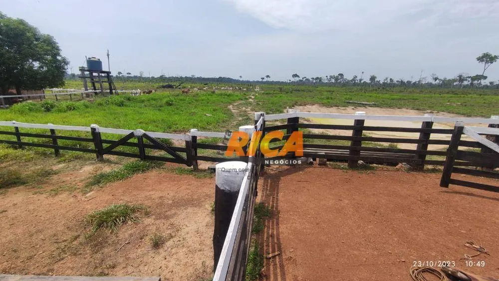Fazenda, 228 hectares - Foto 10