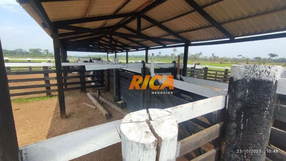 Fazenda, 228 hectares - Foto 11
