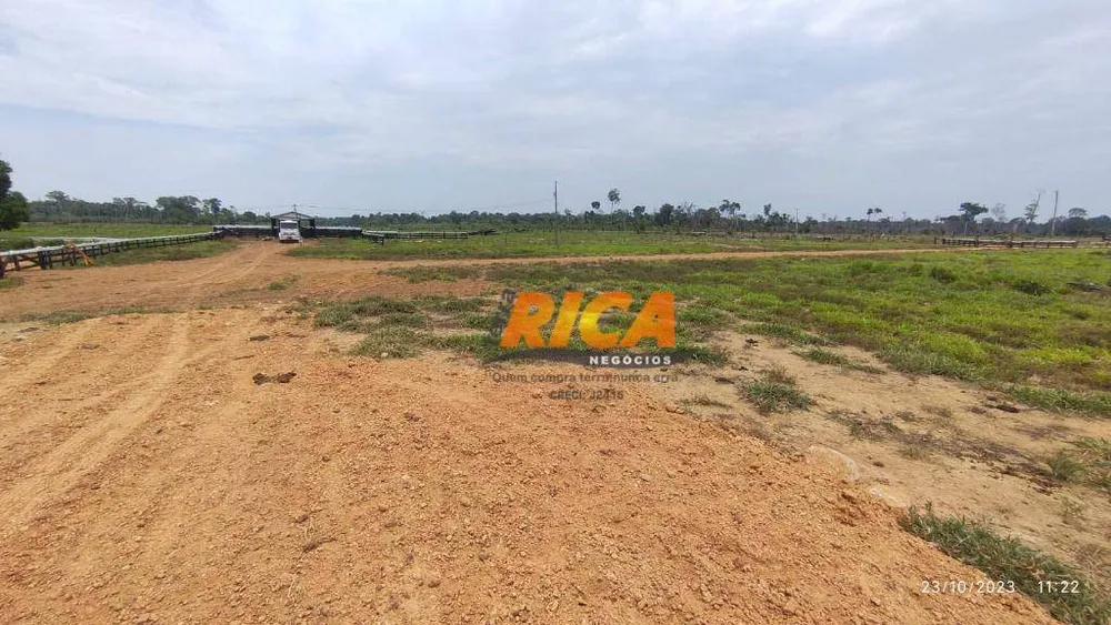 Fazenda, 228 hectares - Foto 6