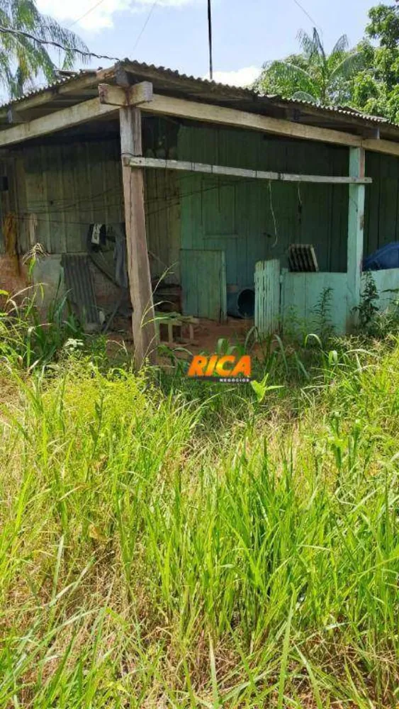 Sítio, 25 hectares - Foto 11