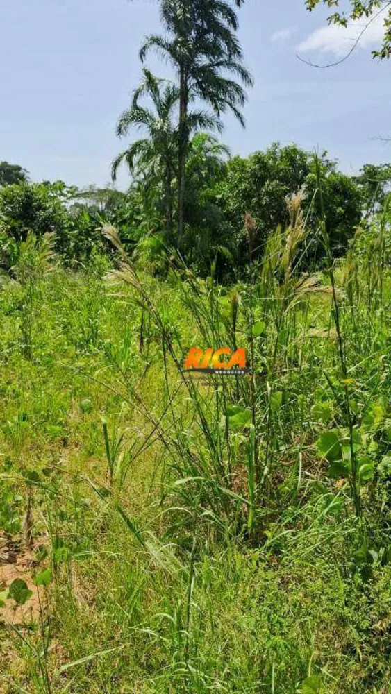 Sítio, 25 hectares - Foto 4