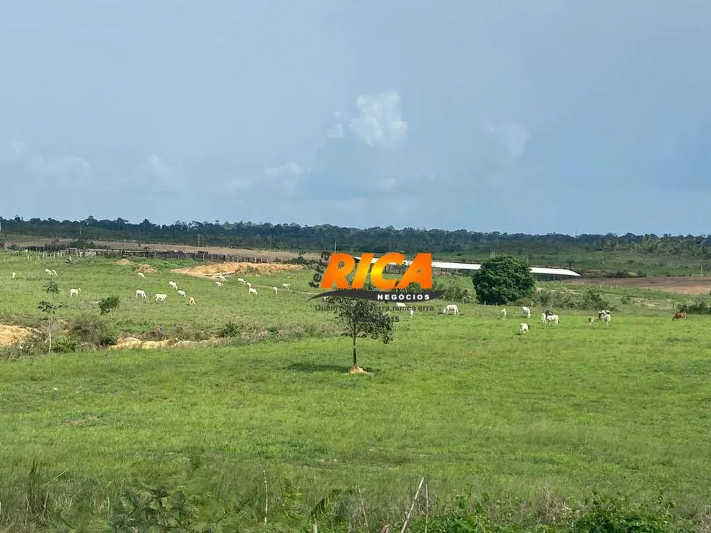 Fazenda, 337 hectares - Foto 3