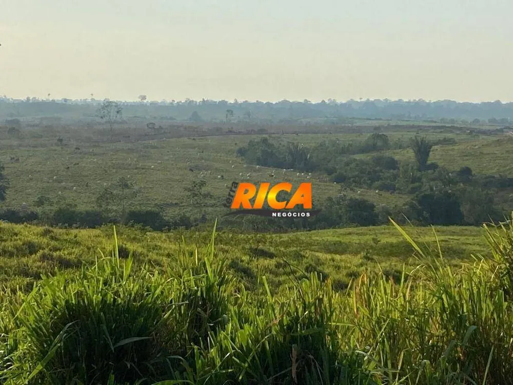 Fazenda, 337 hectares - Foto 8