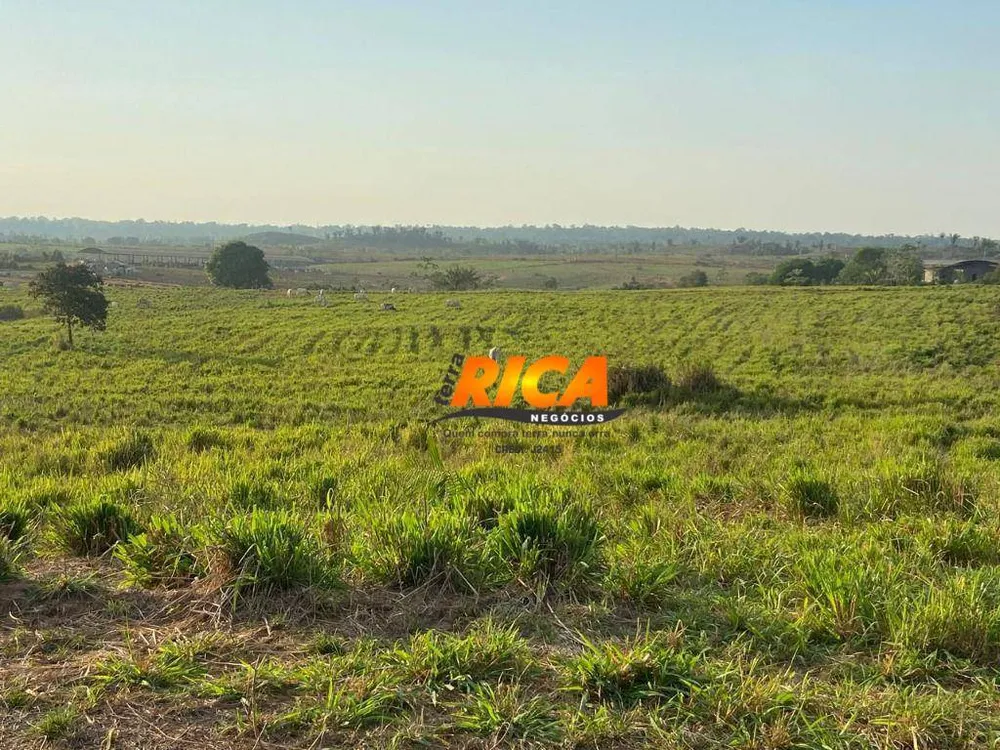Fazenda, 337 hectares - Foto 6