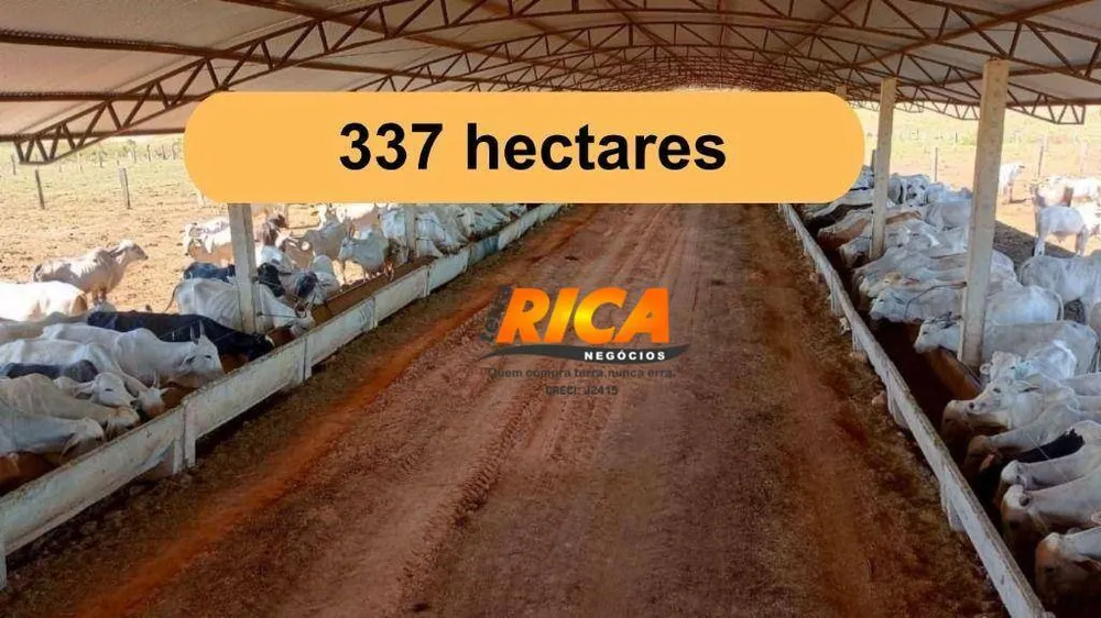 Fazenda, 337 hectares - Foto 1