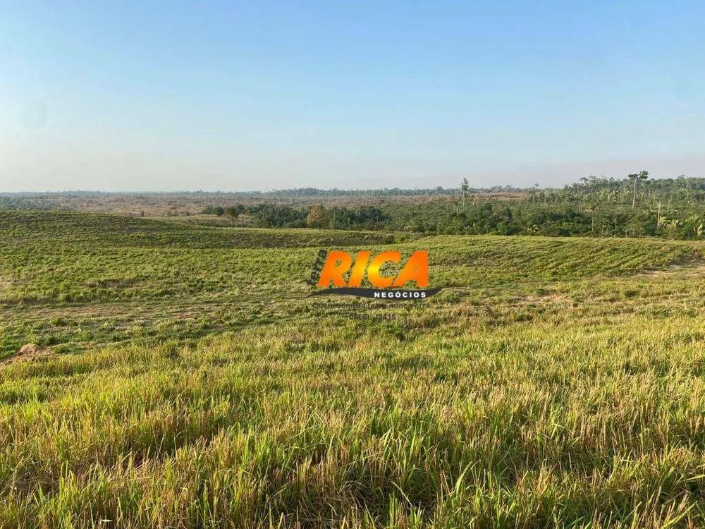 Fazenda, 337 hectares - Foto 10