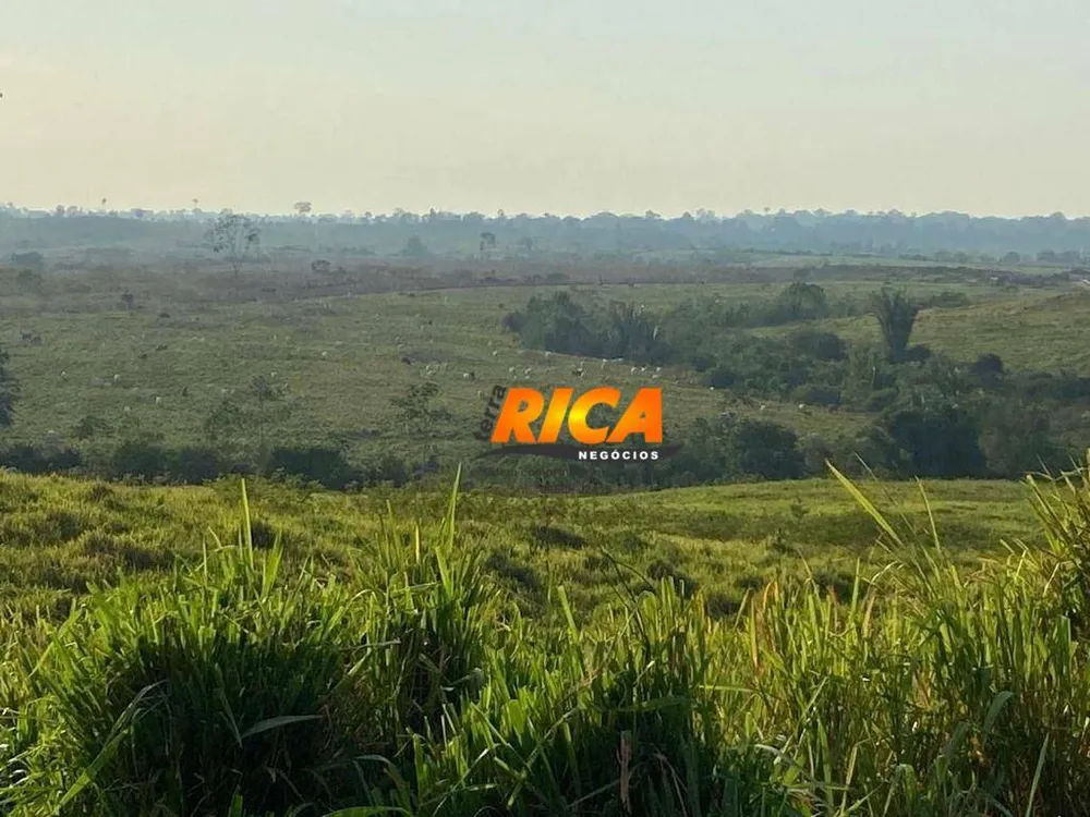Fazenda, 337 hectares - Foto 7