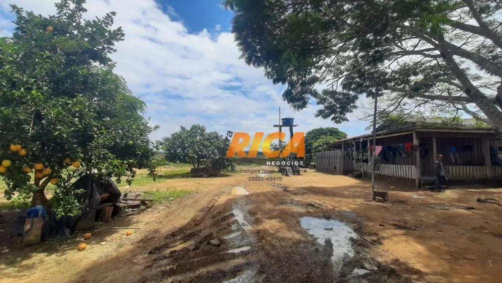 Fazenda, 200 hectares - Foto 10