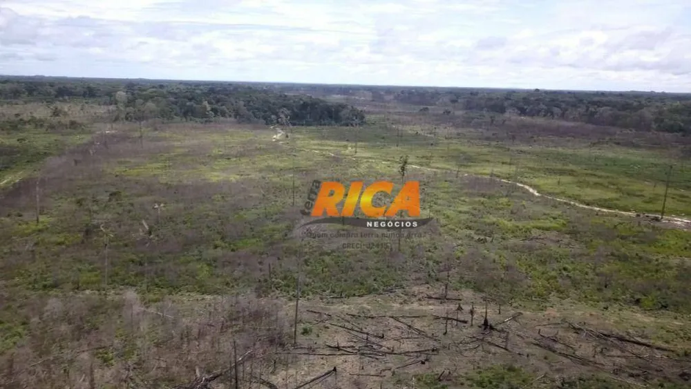 Fazenda, 200 hectares - Foto 9