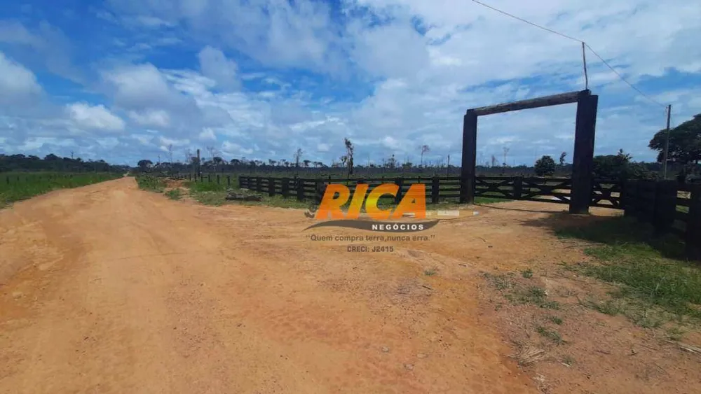 Fazenda, 200 hectares - Foto 8